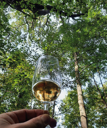 Wald-Whisky-Wanderung <br> 12.09.2026